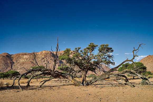 desert landscape on the farm Namtib