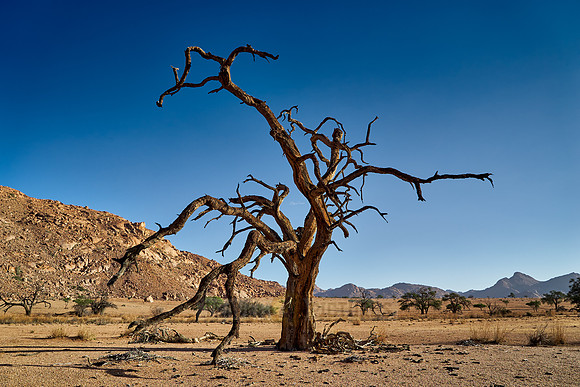 desert landscape on the farm Namtib