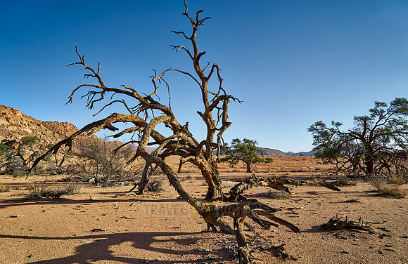 desert landscape on the farm Namtib