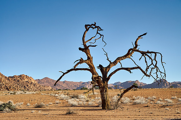 desert landscape on the farm Namtib