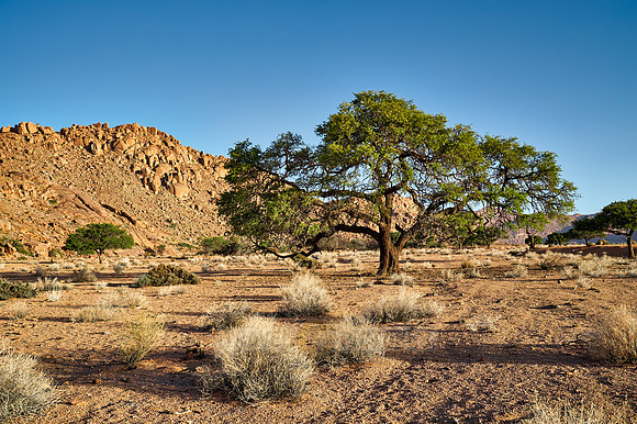 desert landscape on the farm Namtib