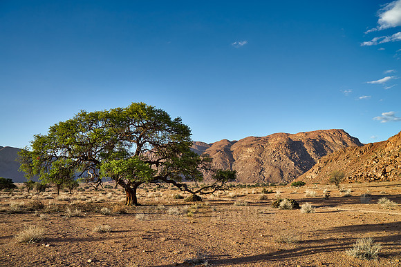 desert landscape on the farm Namtib