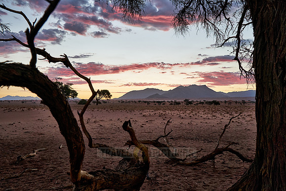 deserted landscape of NamibRand Nature Reserve