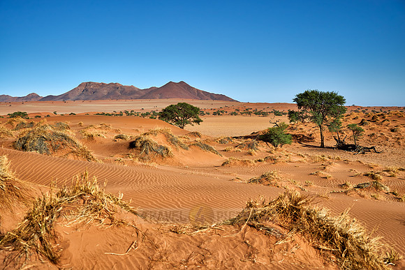 deserted landscape of NamibRand Nature Reserve