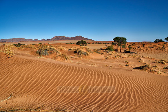 deserted landscape of NamibRand Nature Reserve