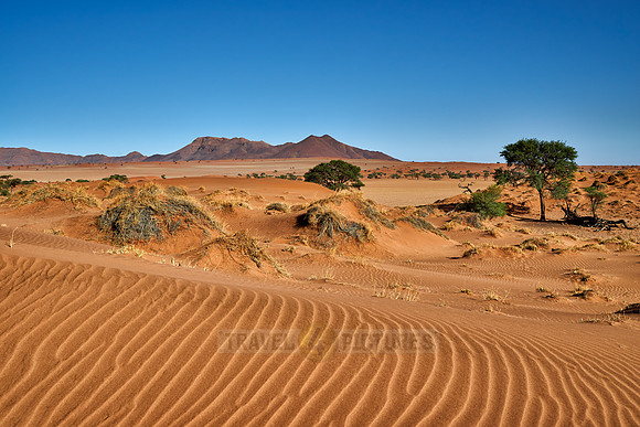 deserted landscape of NamibRand Nature Reserve