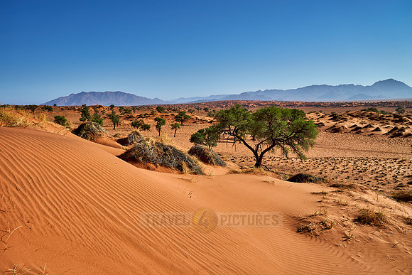 deserted landscape of NamibRand Nature Reserve