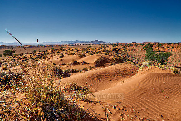 deserted landscape of NamibRand Nature Reserve