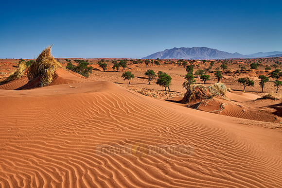 deserted landscape of NamibRand Nature Reserve