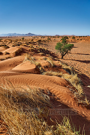 deserted landscape of NamibRand Nature Reserve