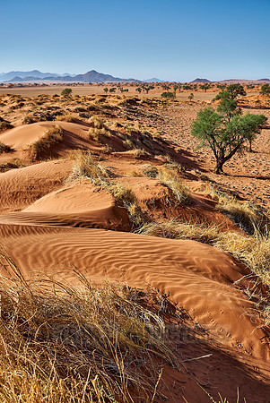 deserted landscape of NamibRand Nature Reserve