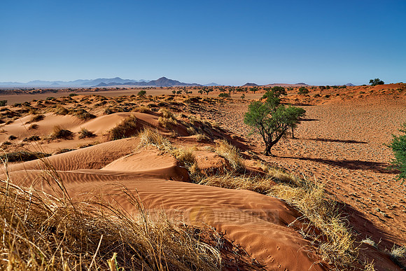 deserted landscape of NamibRand Nature Reserve
