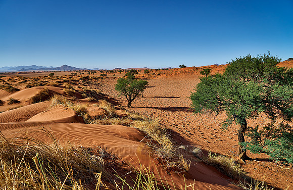 deserted landscape of NamibRand Nature Reserve