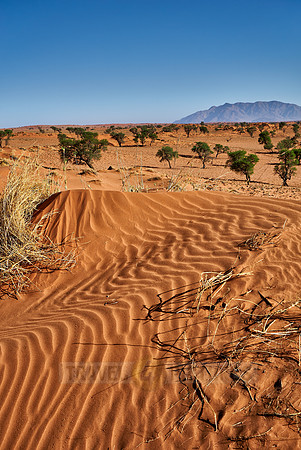 deserted landscape of NamibRand Nature Reserve
