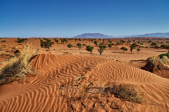 deserted landscape of NamibRand Nature Reserve