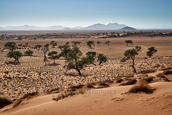 deserted landscape of NamibRand Nature Reserve