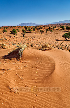 deserted landscape of NamibRand Nature Reserve