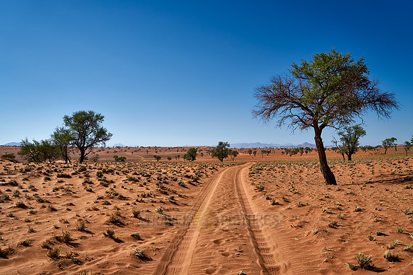 deserted landscape of NamibRand Nature Reserve