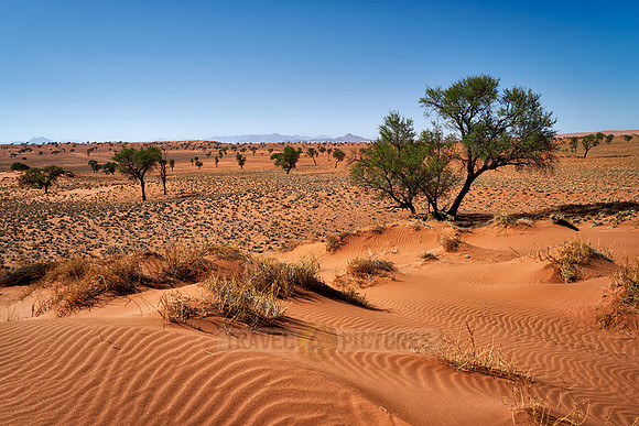 deserted landscape of NamibRand Nature Reserve