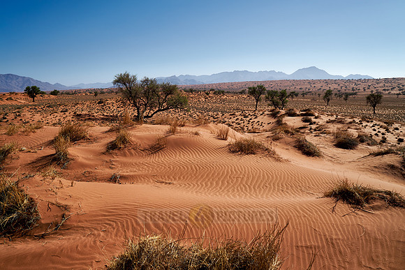 deserted landscape of NamibRand Nature Reserve
