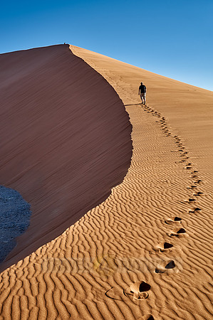 man ist walking up dune 45, desert landscape of Namib
