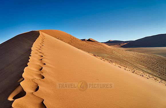 dune 45, desert landscape of Namib