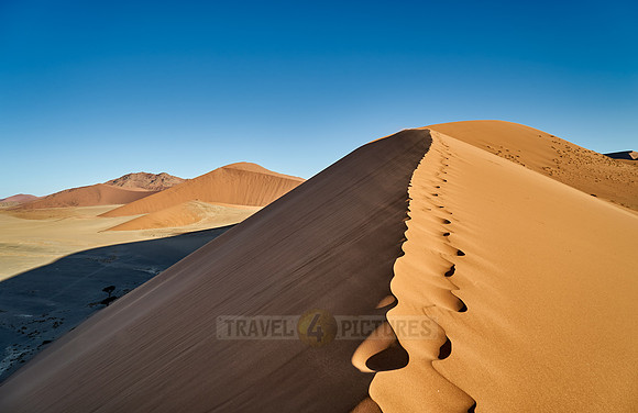 dune 45, desert landscape of Namib