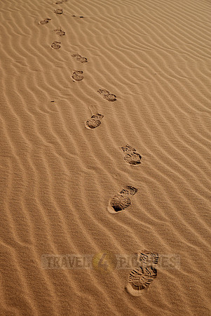 footprints in sand of Namib