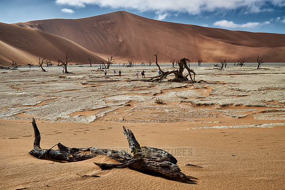 famous Dead Vlei with dead trees, desert landscape of Namib