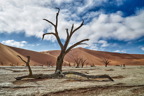 famous Dead Vlei with dead trees, desert landscape of Namib