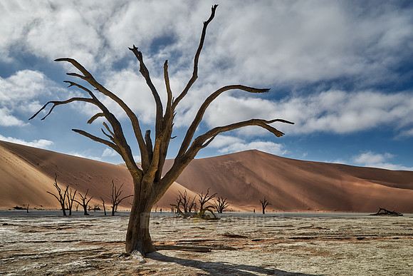 famous Dead Vlei with dead trees, desert landscape of Namib