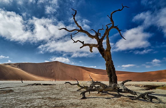famous Dead Vlei with dead trees, desert landscape of Namib