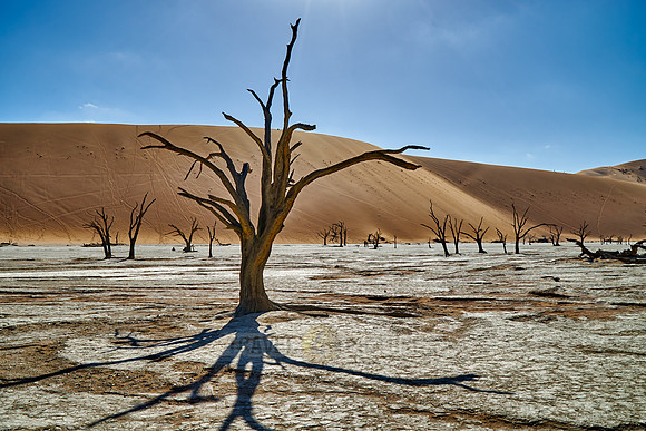 famous Dead Vlei with dead trees, desert landscape of Namib