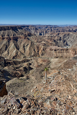 Fish River Canyon