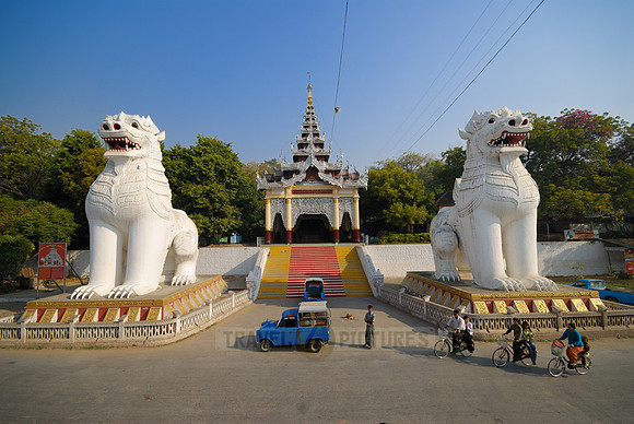 white Chintes