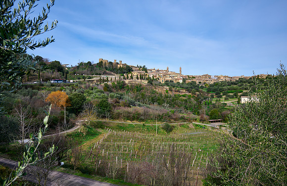 Montalcino, Tuscany
