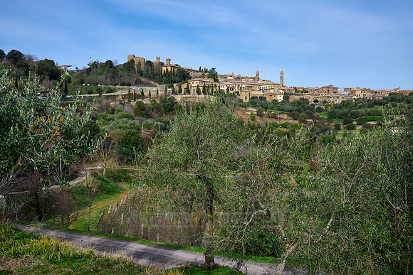 Montalcino, Tuscany