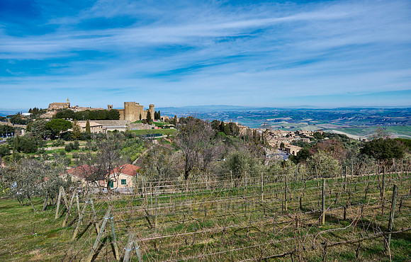 Montalcino, Tuscany