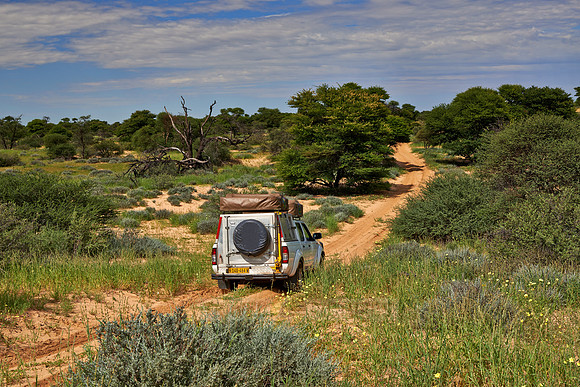 4x4 car in Mabuasehube