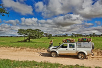 4x4 in Kgalagadi Transfrontier Park
