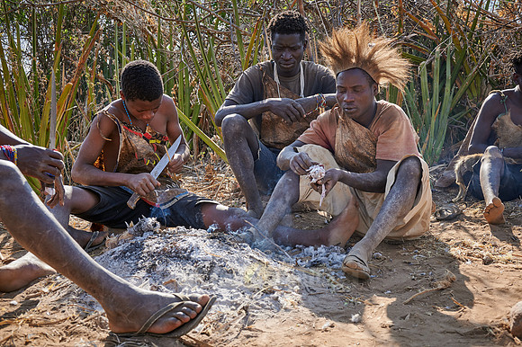 bushmen of Hasabe tribe sitting around a fireplace and broiling a bird