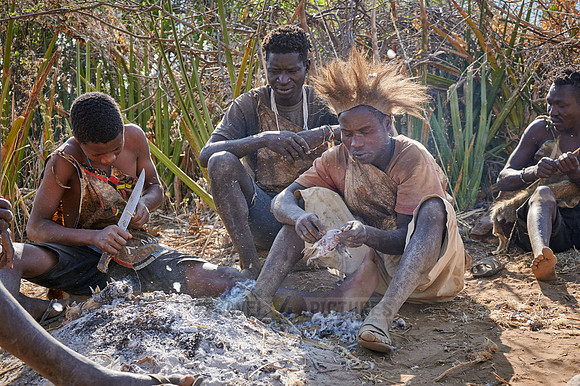 bushmen of Hasabe tribe sitting around a fireplace and broiling a bird