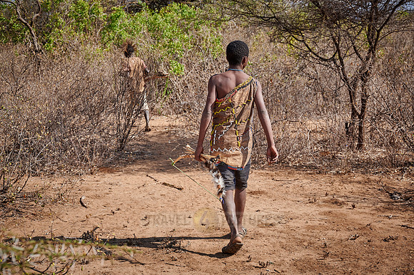 hunting bushmen of Hadza tribe with bow and arrow