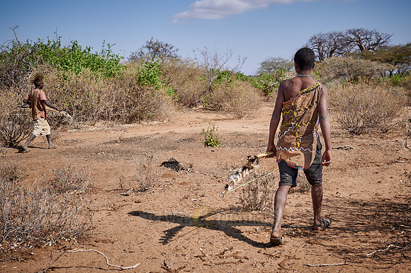 hunting bushmen of Hadza tribe with bow and arrow