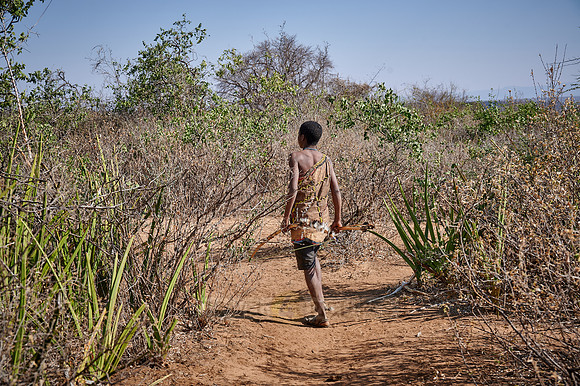 hunting bushmen of Hadza tribe with bow and arrow