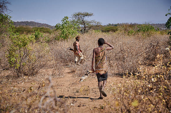 hunting bushmen of Hadza tribe with bow and arrow