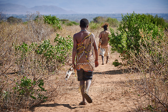 hunting bushmen of Hadza tribe with bow and arrow