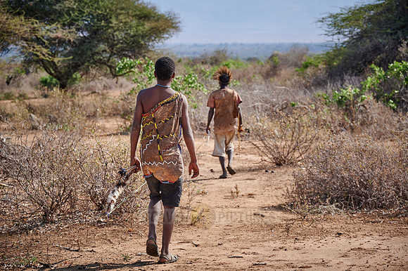hunting bushmen of Hadza tribe with bow and arrow