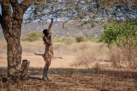 hunting bushmen of Hadza tribe with bow and arrow