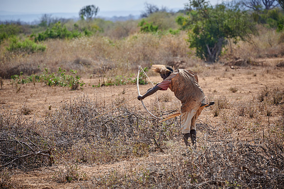 hunting bushmen of Hadza tribe with bow and arrow
